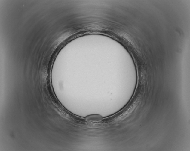 X0000111781065200908201105