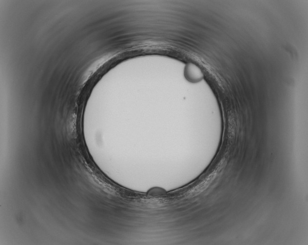 X0000111781066200908201105