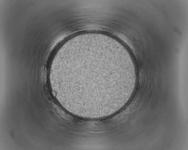 X0000111781067200908201105