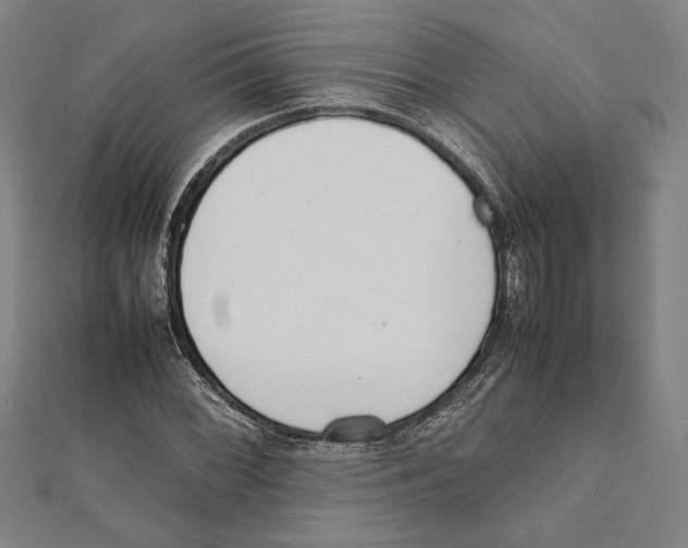 X0000111781068200908201105