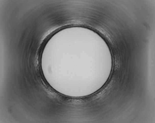 X0000111781070200908201105