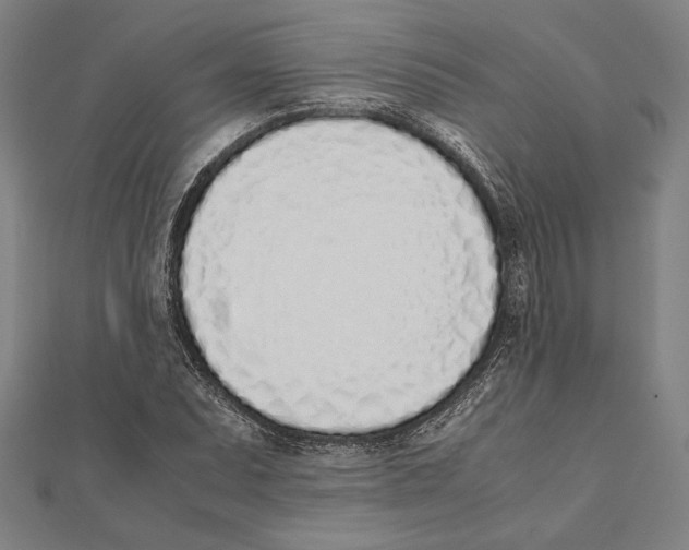 X0000111781071200908201105