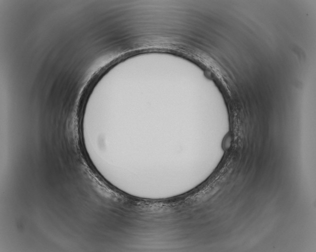 X0000111781072200908201105