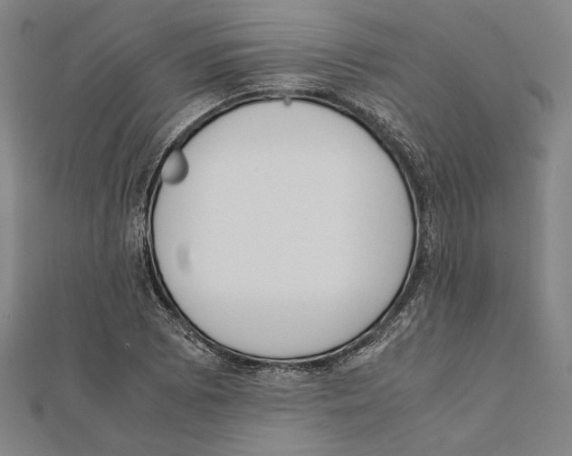 X0000111781073200908201105