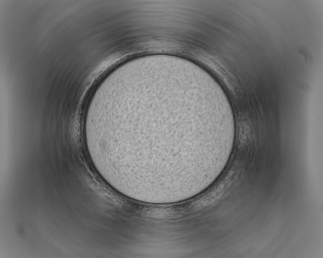 X0000111781074200908201105