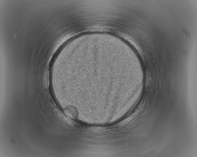X0000111781075200908201105