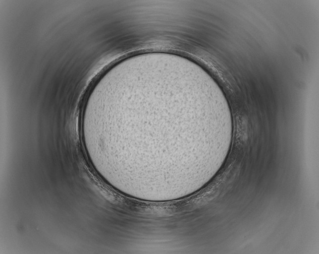 X0000111781078200908201105