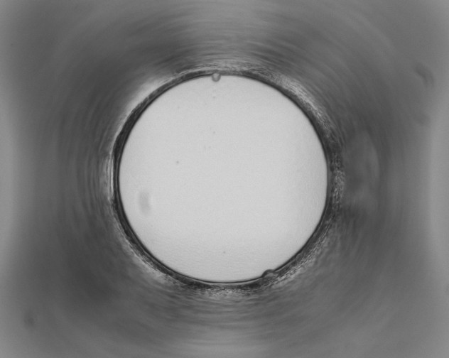 X0000111781079200908201105