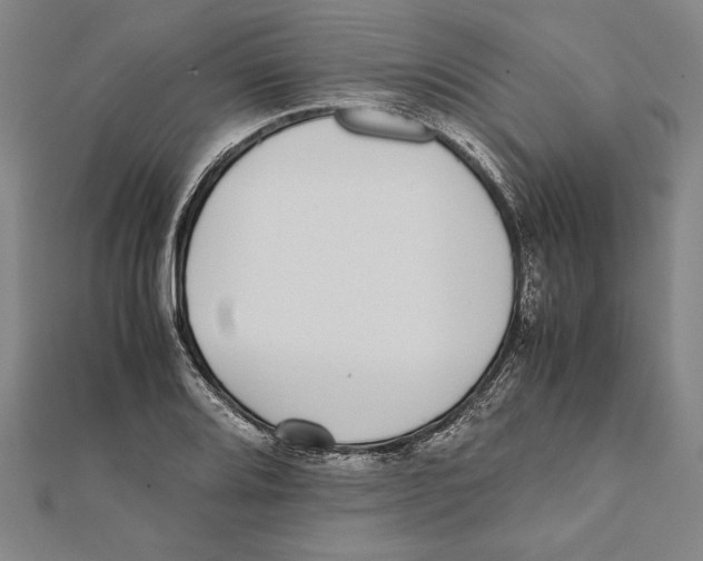 X0000111781080200908201105