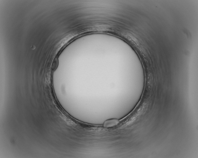 X0000111781081200908201105