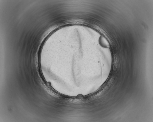 X0000111781082200908201105