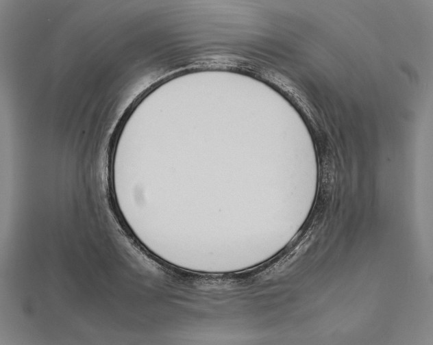 X0000111781083200908201105