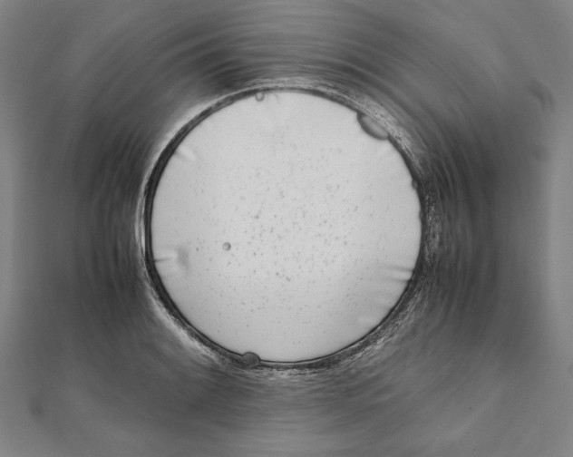 X0000111781084200908201105
