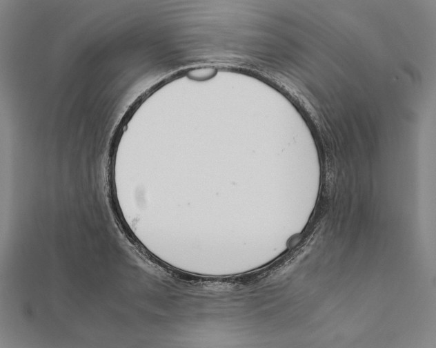 X0000111781085200908201105