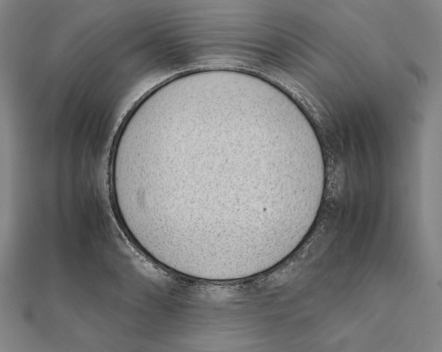 X0000111781086200908201105