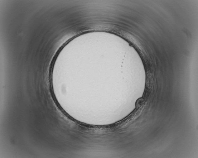 X0000111781087200908201105