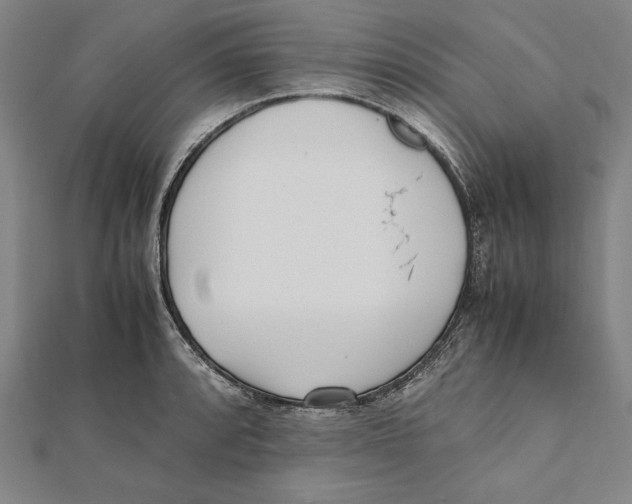 X0000111781088200908201105