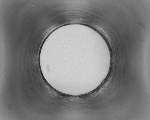 X0000111781089200908201105