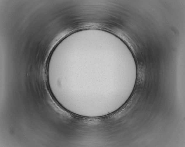 X0000111781090200908201105