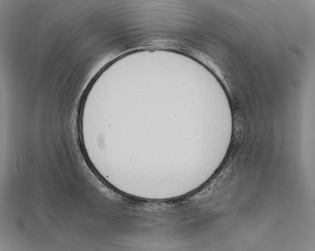 X0000111781091200908201105