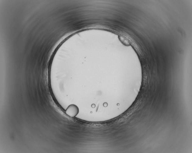 X0000111781092200908201105