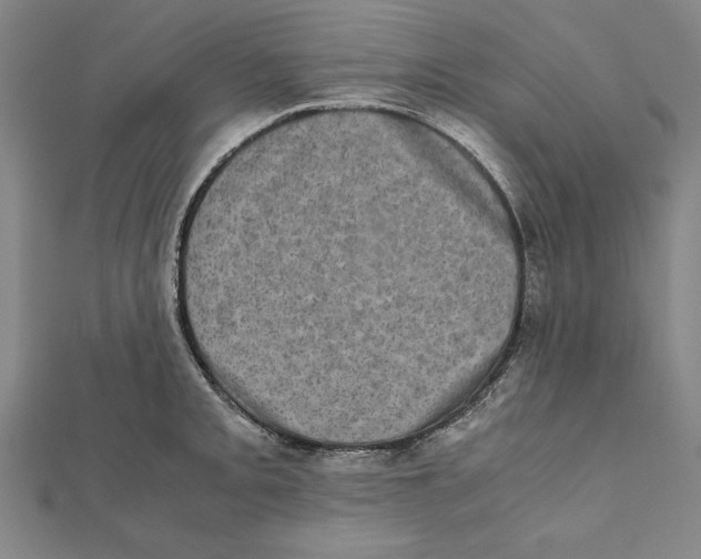 X0000111781093200908201105