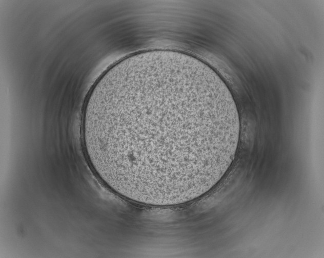 X0000111781094200908201105