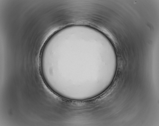 X0000111781095200908201105