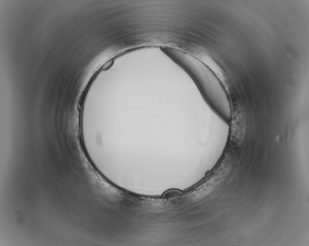 X0000111781096200908201105