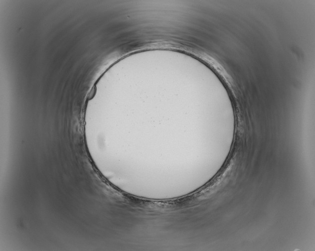 X0000111781097200908201104