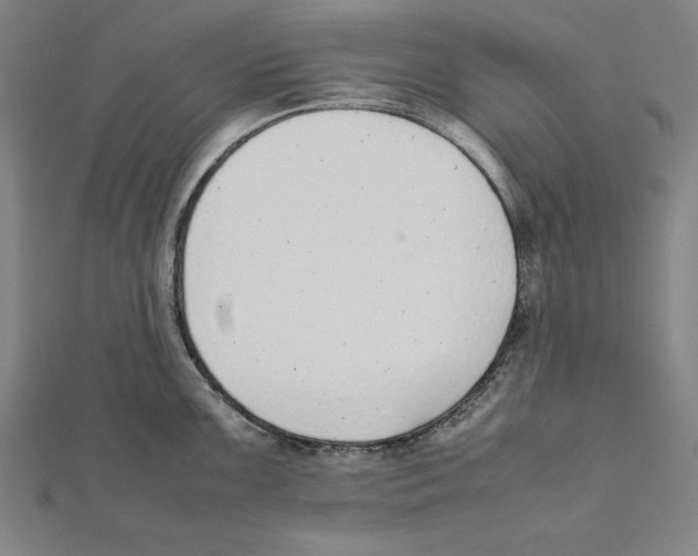 X0000111781099200908201104