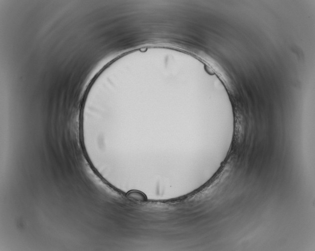 X0000111781100200908201104