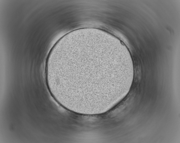 X0000111781103200908201104