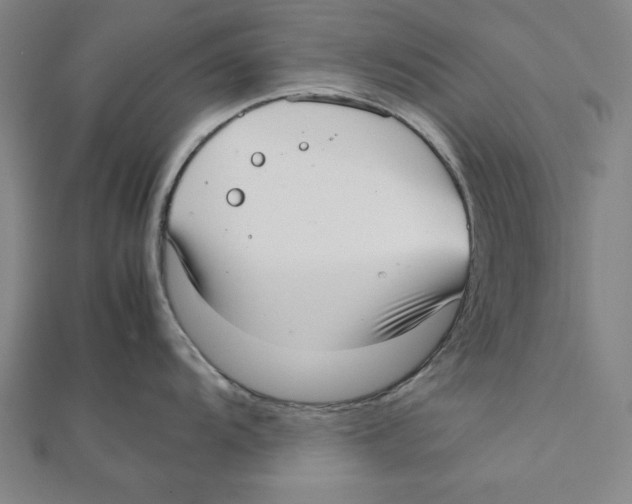 X0000111781104200908201104