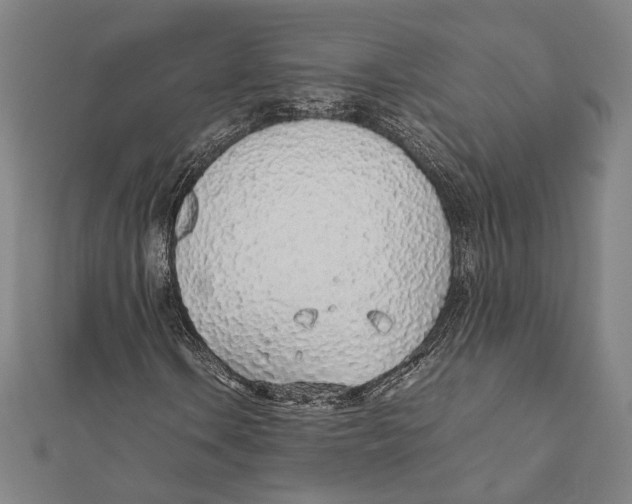 X0000111781106200908201104