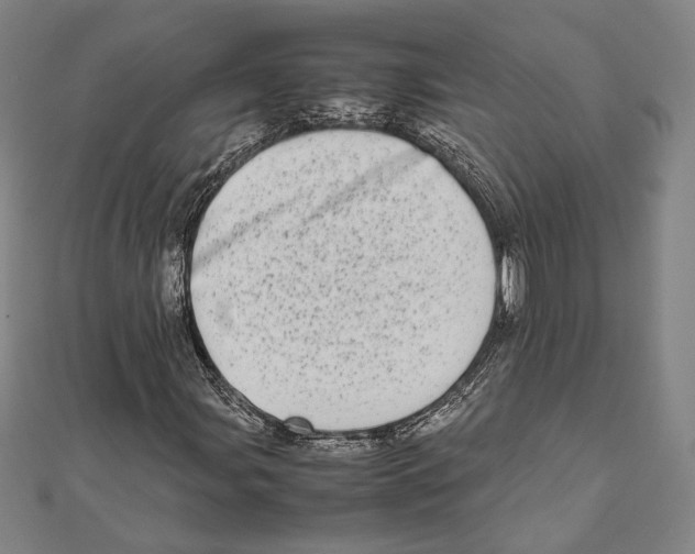 X0000111781107200908201104