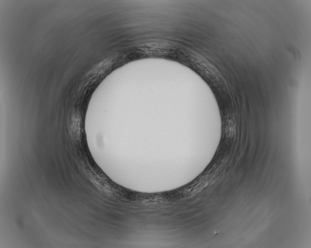 X0000111781108200908201104