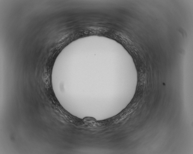 X0000111781109200908201104