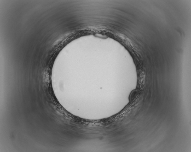 X0000111781110200908201104