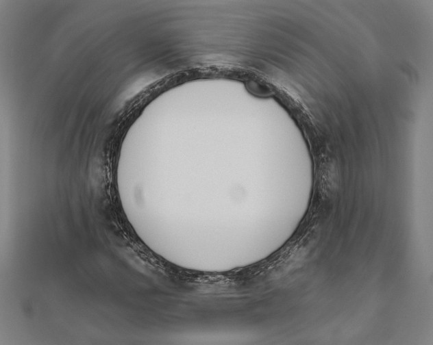 X0000111781112200908201104