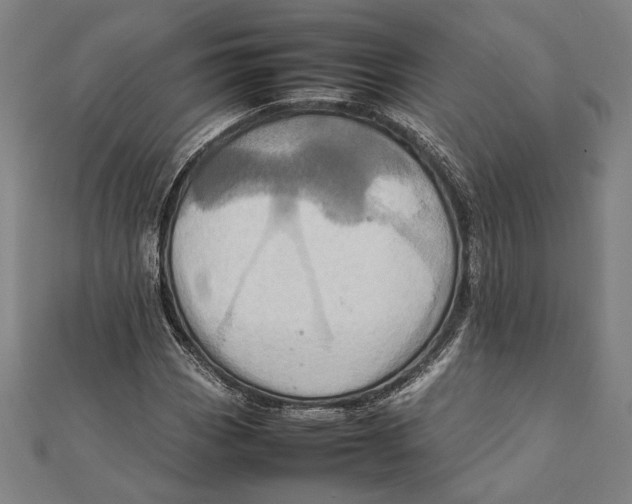 X0000111781113200908201104
