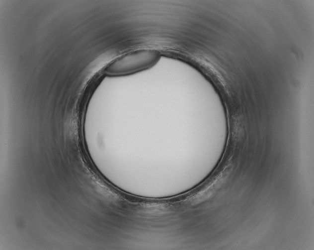 X0000111781114200908201104