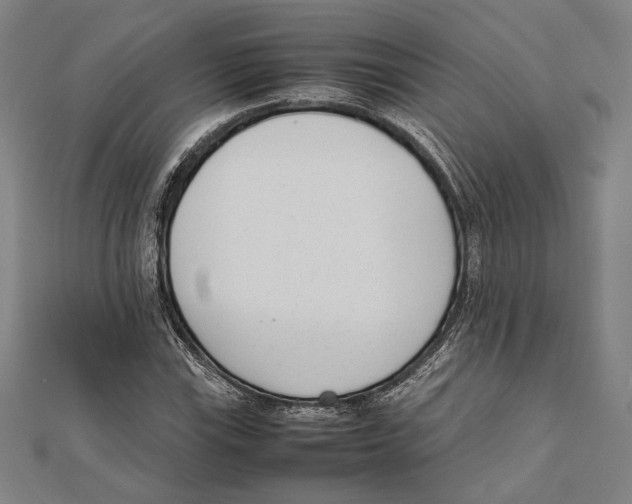 X0000111781115200908201104