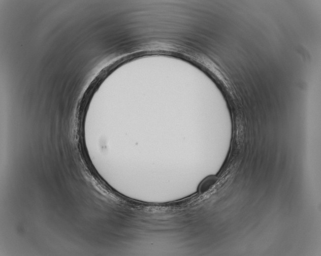 X0000111781116200908201104