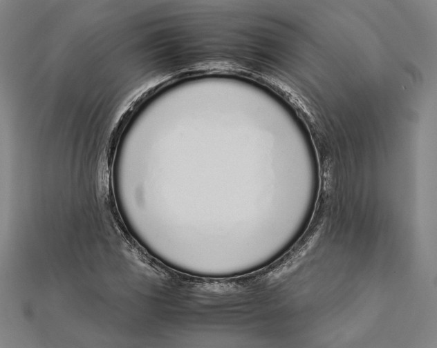 X0000111781117200908201104