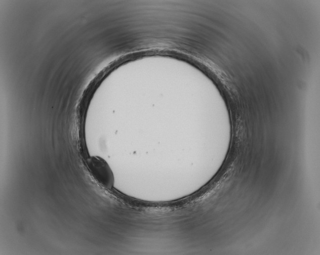 X0000111781118200908201104