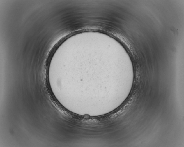 X0000111781119200908201104
