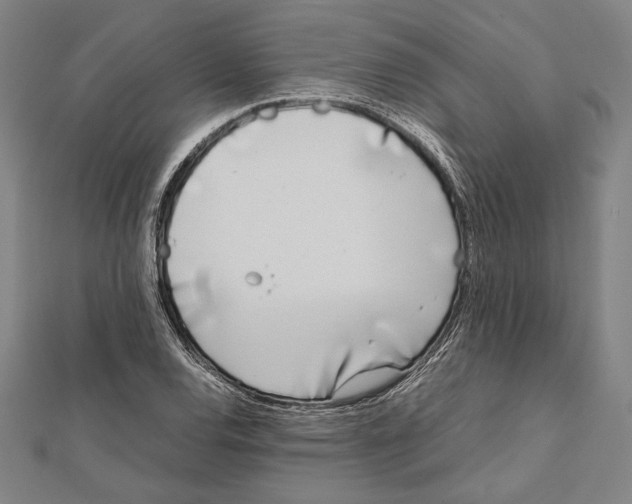 X0000111781120200908201104