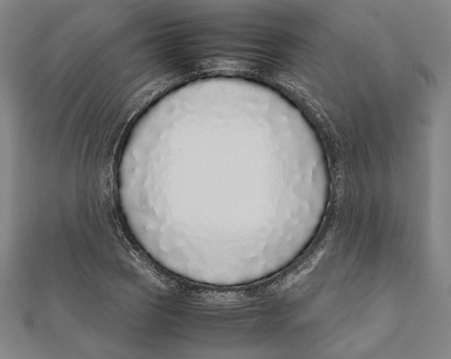 X0000111781121200908201104