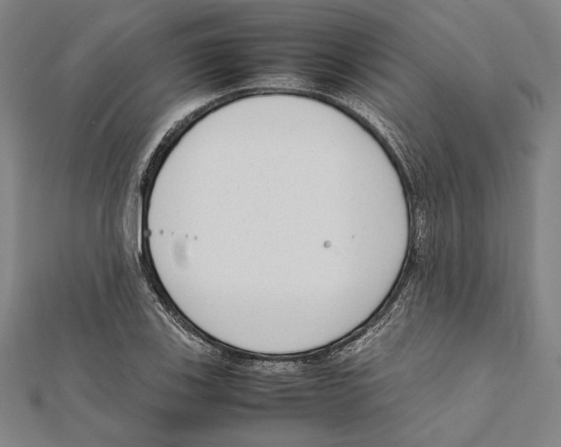 X0000111781123200908201104